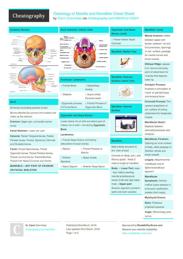 osteology of maxilla and mandible cheat sheet by carmilaa graph sheet download