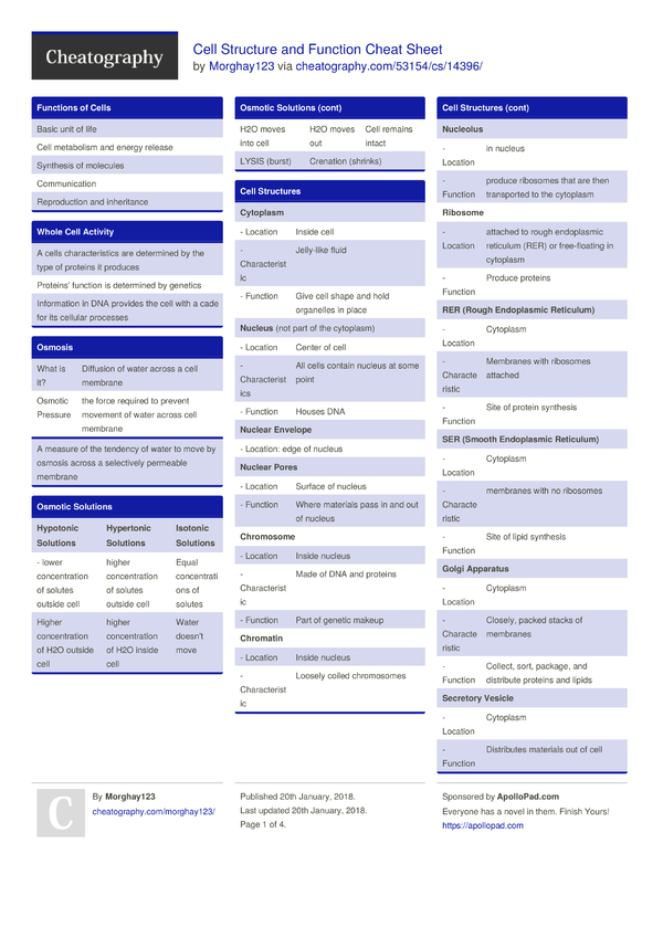 Cell Structure and Function Cheat Sheet by Morghay123 - Download free ...
